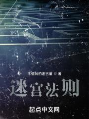 迷宫法则内置菜单