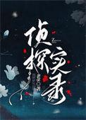 探案实录游戏
