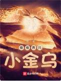 偷偷养只小金乌结局