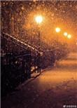 在暴雪时分电视剧免费观看完整版