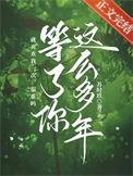 等你等了这么久的歌