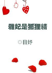 雅妃最后和谁在一起