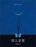 误入金汤
