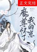 魔尊怀了我的崽晋江