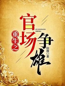 重生之官场争雄陆辰熙