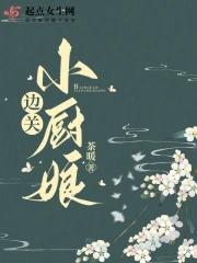 大宋小厨娘(穿越)