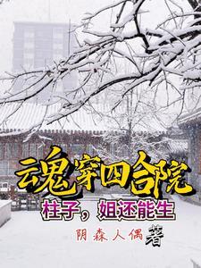 穿越四合院傻柱