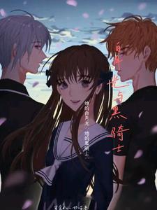 白骑士月光sss