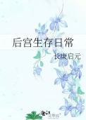 后宫生存日常讲的什么
