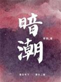 暗潮缉凶电视剧免费观看高清