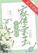 宝玉摔玉意义