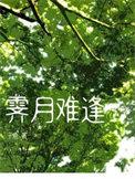 霁月难逢彩云易散是谁的判词