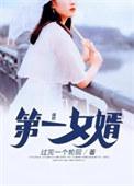 第一女婿 离剑天涯