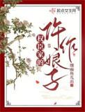 权臣家的仵作娘子讲的什么
