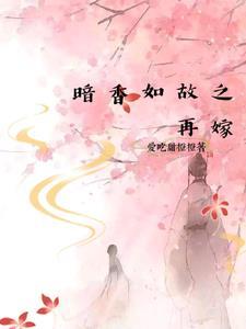 暗香续篇
