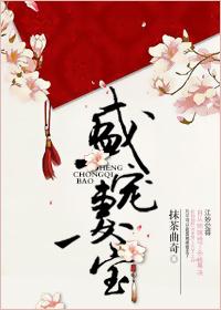 盛宠妻宝薛今月江承许