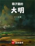 大箱子是什么意思