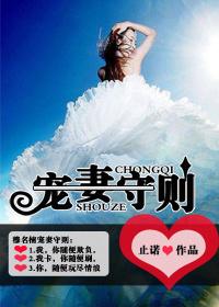 宠妻守则100条