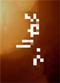 笼中月作品有哪些