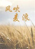 风吹麦浪尤克里里谱