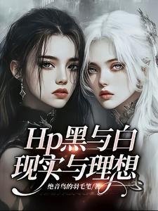 HP黑与白现实与理想
