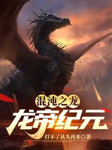 混沌龙帝决