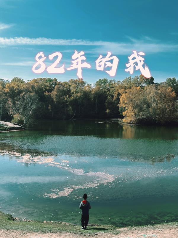82年多少