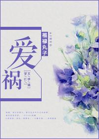 爱祸福禄丸子