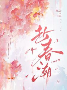 赴春潮电视剧40集免费播放