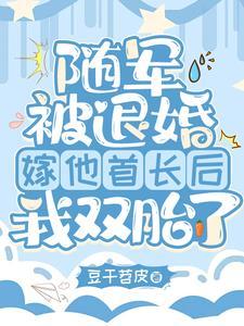 嫁他首长躺赢豆干