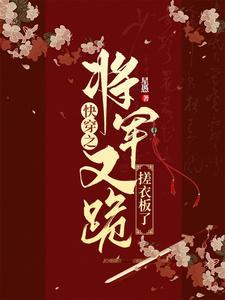 快穿攻略将军爹2