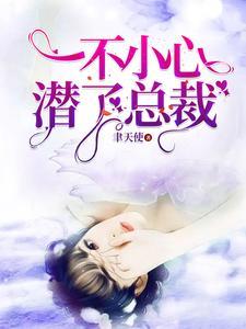 一不小心潜了总裁大结局