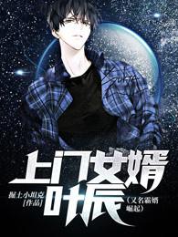上门女婿叶辰免费阅读全本精英
