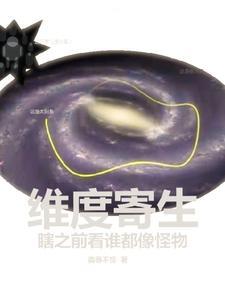 维度是什么