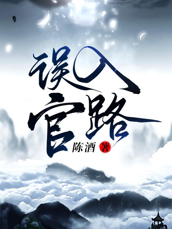 误入官场正版
