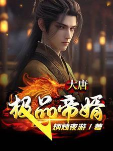 大唐极品帝婿听书在线听