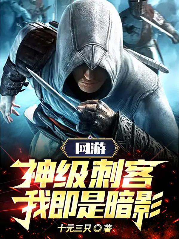 网游神级刺客我即是暗影免费观看