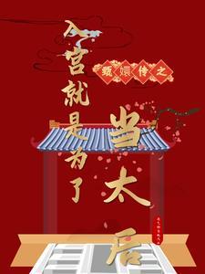 皇上进入甄嬛传