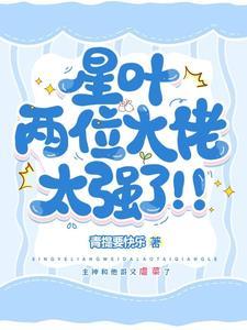 星叶集团孙叶
