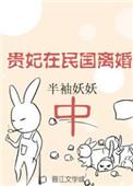 贵妃在民国离婚中小数书评