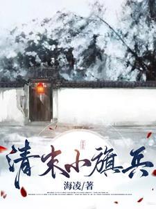 清朝八旗兵