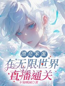 漂亮笨蛋 无限