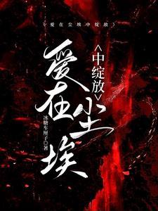 爱在尘埃中绽放电视剧