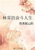 女主叫林霁雪的