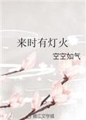 来时有灯火免费阅读