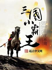三国中的小霸王是
