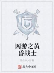 网游之黄昏战士最新章节更新内容与评论功能介绍