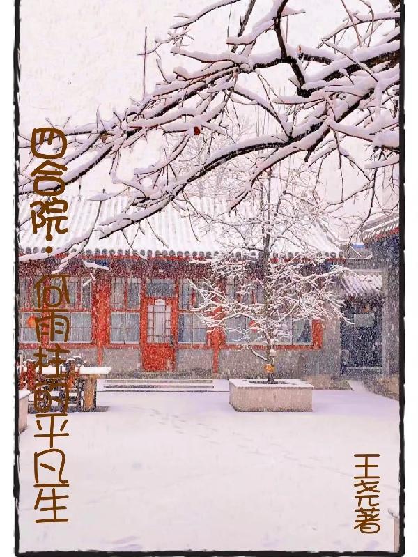 四合院何雨轩