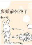 离婚前怀孕了免费阅读