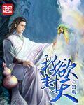我欲封天至尊是什么境界